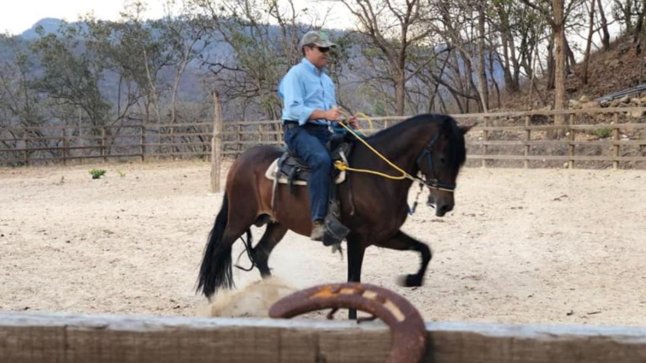 Valiente, un caballo de raza Frisón, es uno de los más caros, según detalla el documento  