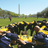Bayer_web_edited-1