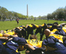 Bayer_web_edited-1