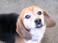 Walter