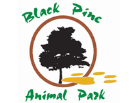 Logo_200x150