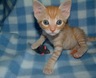 Dscf0003_1
