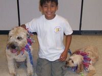 Summercamp