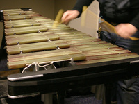 Xylophone