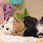 Emerald_babies_041607