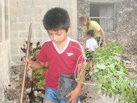 Isaacplanting