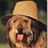 Hund-hut