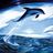 9026-delphin