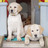 D_pups_crop_bl