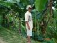 Jungle
