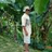 Jungle