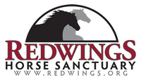 Redwingslogo
