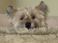 Img_0217