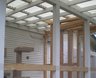 Cattery_3