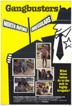 The North Avenue Irregulars (1979)