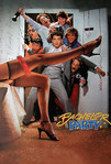 Bachelor Party (1984)