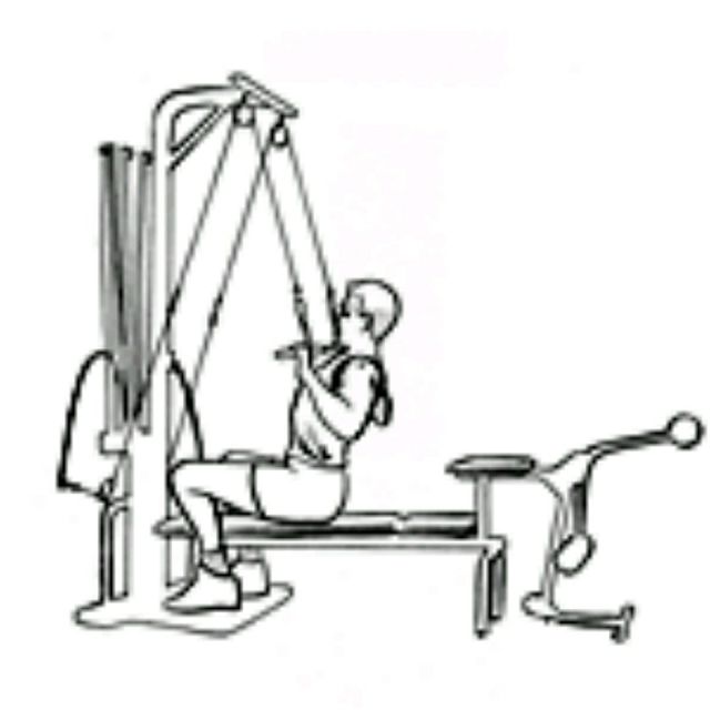Bowflex Lat Pulldown Exercise Howto Workout Trainer by Skimble