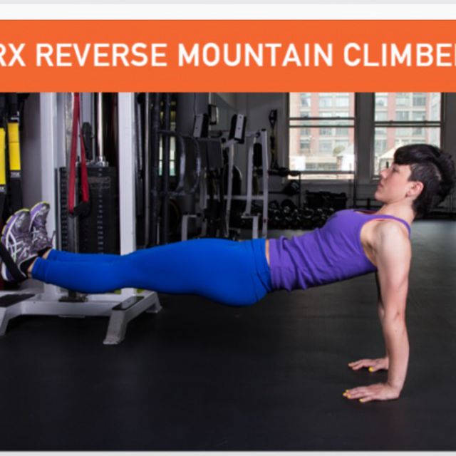 TRX Reverse Mountain Climber Exercise Howto Workout Trainer by Skimble