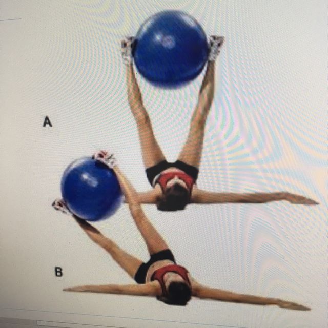 Floor Wipers With Ball Exercise Howto Workout Trainer by Skimble