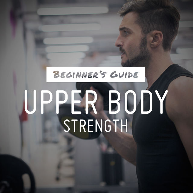 Beginner's Guide Upper Body Strength Training Program Workout