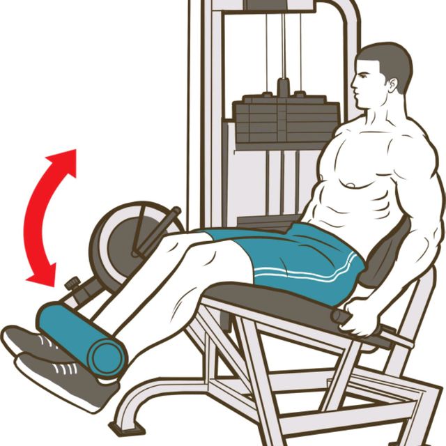 Legs Extensions Exercise Howto Workout Trainer by Skimble