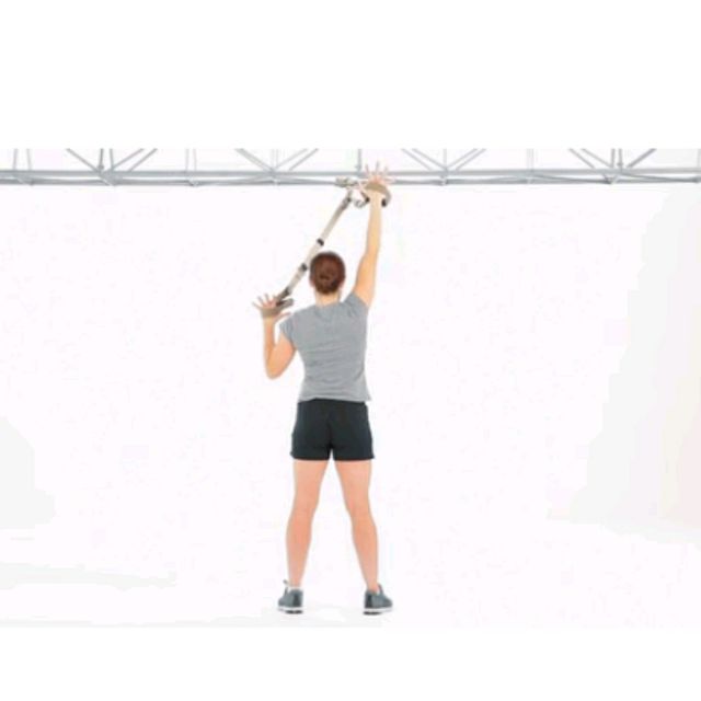 Trx Wall Slides (Standing Facing) Exercise Howto Workout Trainer