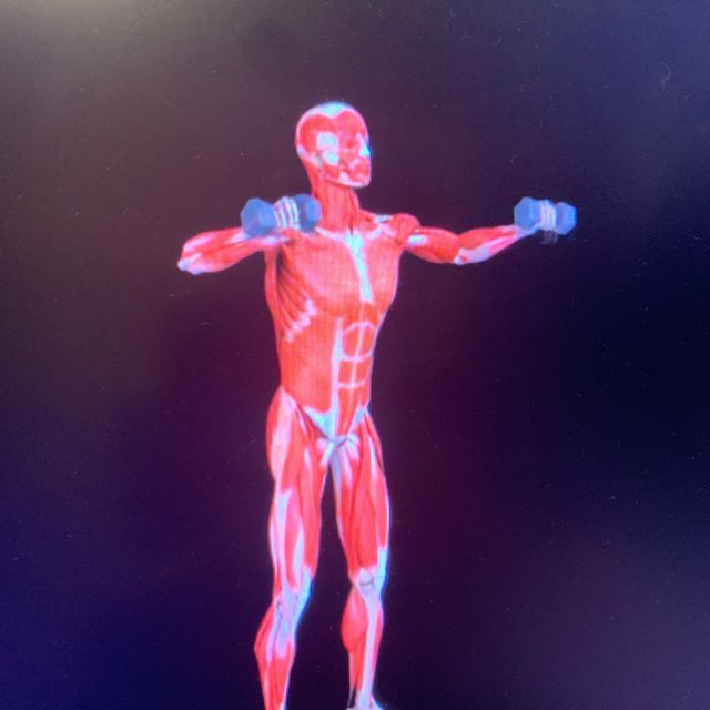 Dumbbell Scarecrow Exercise How to Workout Trainer By Skimble