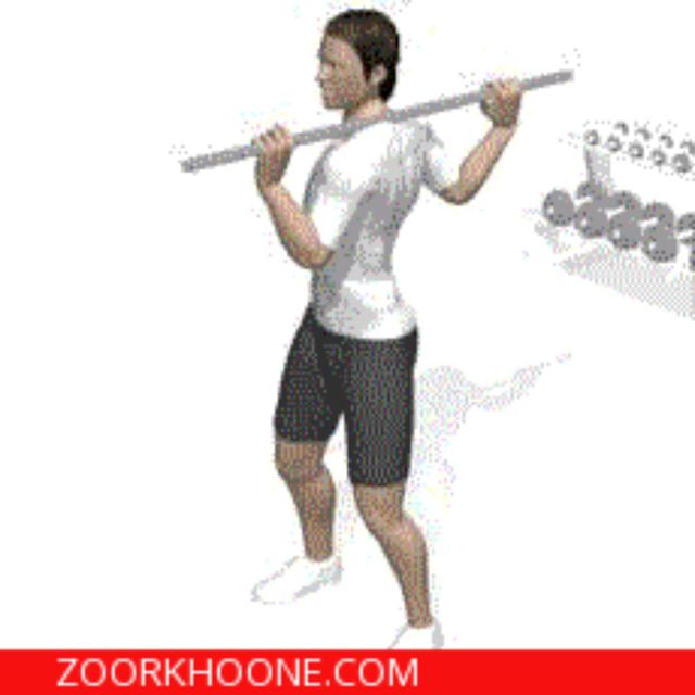 Seated Torso Rotation With Bar Exercise Howto Workout Trainer by