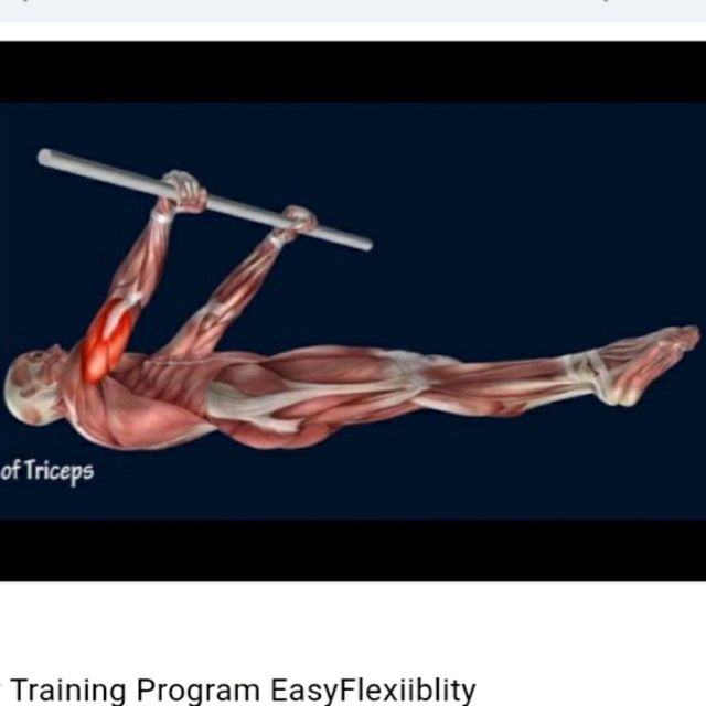 Front lever hold Exercise Howto Workout Trainer by Skimble