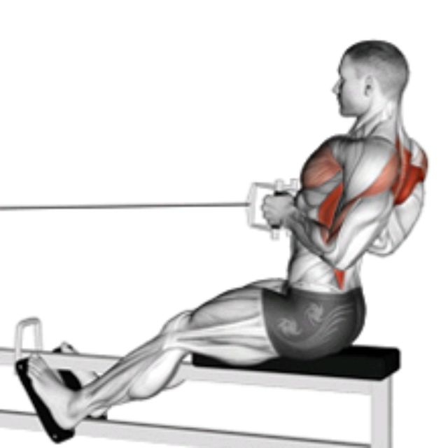 Sitting Cable Row Exercise Howto Workout Trainer by Skimble