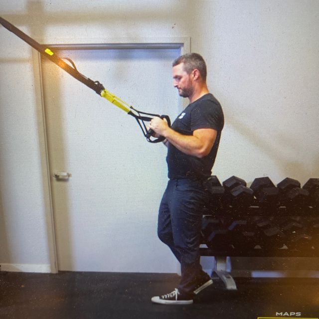 TRX Single Leg Squats Exercise Howto Workout Trainer by Skimble