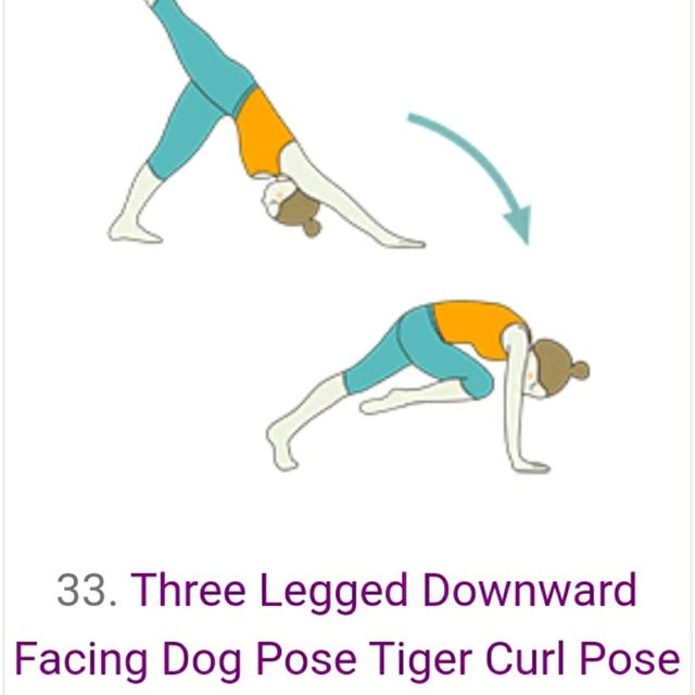 Three Legged Downward Facing Dog Pose Tiger Curl Pose Flow Exercise