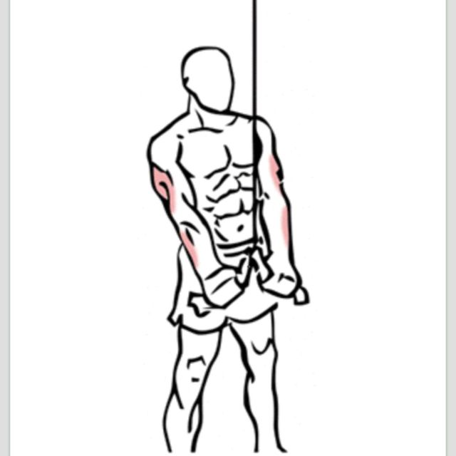 Cable Tricep Pulldowns Exercise Howto Workout Trainer by Skimble