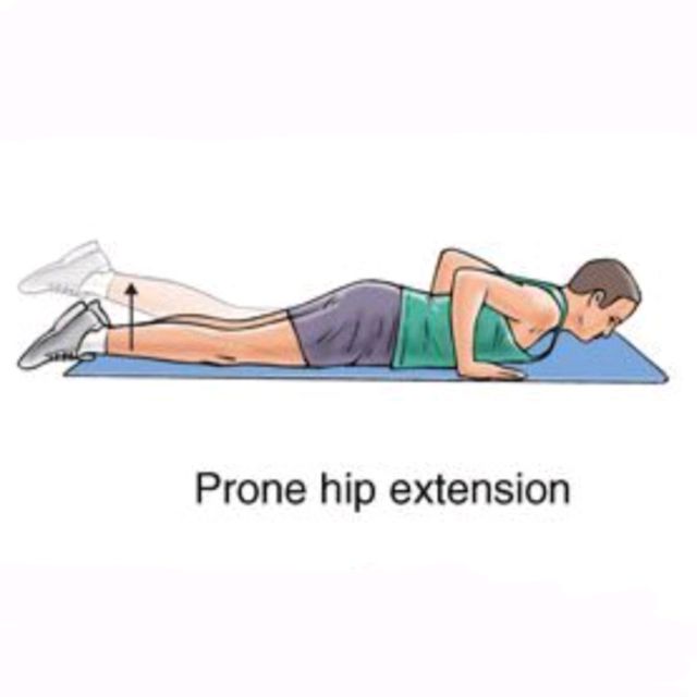 Prone Hip Extension Exercise Howto Workout Trainer by Skimble