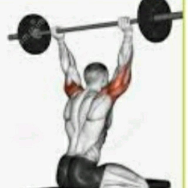 Seated Behind The Neck Press Exercise Howto Workout Trainer by Skimble