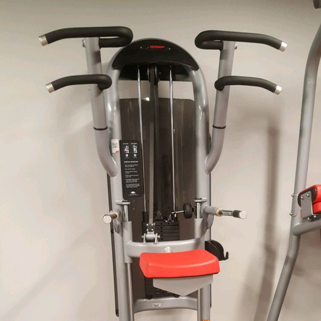 Assisted Dips Exercise Howto Workout Trainer by Skimble