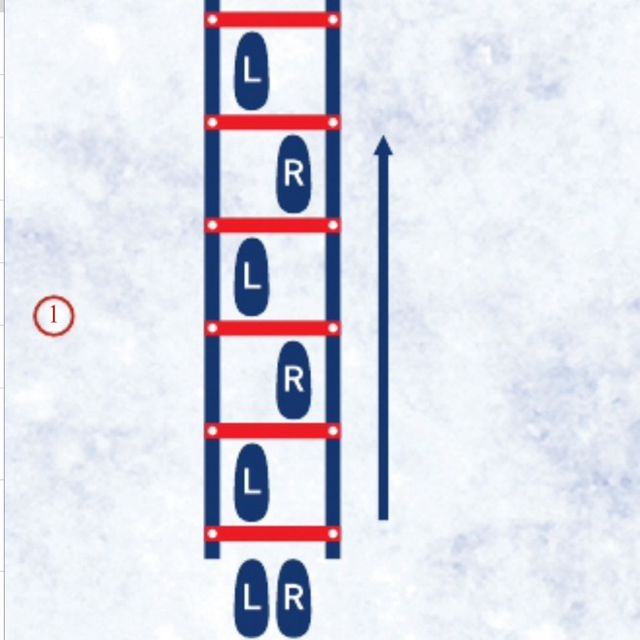 Ladder 1 In Exercise Howto Workout Trainer by Skimble