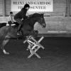Blixland Stables
