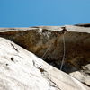 Dsc_0093_thumb