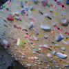 Img_0229_thumb