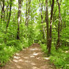 Fruška Gora