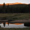 Tuolumne Meadows