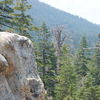 Dsc_0312_thumb