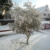 06_janvier_10_neige_saint_briac_0016_thumb