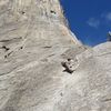 129_thumb