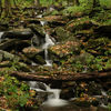 Great Smoky Mountains National Park