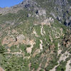 American Fork