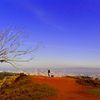 Mount Davidson, California, United States
