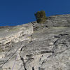 Knapsack_thumb