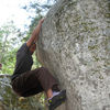 20090524_g9_2263_thumb